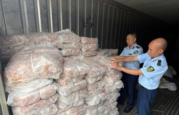 Lào Cai thu giữ hơn 1,5 tấn chân gà không rõ nguồn gốc