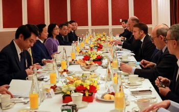 Tầm nhìn hợp tác chuyển đổi năng lượng Việt Nam - Pháp