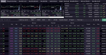 Nhận định chứng khoán 28/5: Thị trường phục hồi tích cực