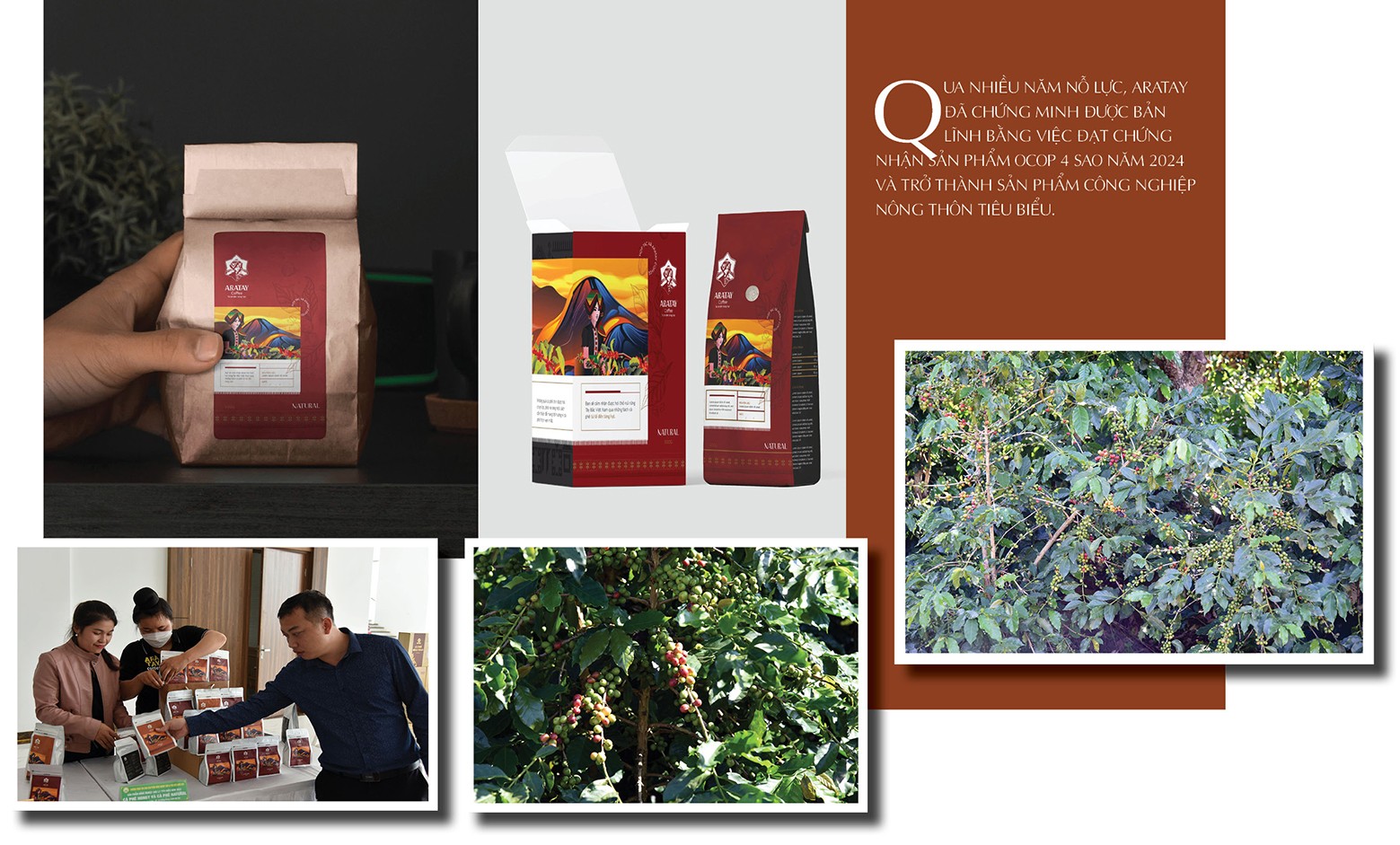 Longform | Cà phê Tây Bắc chạm chuẩn OCOP 4 sao