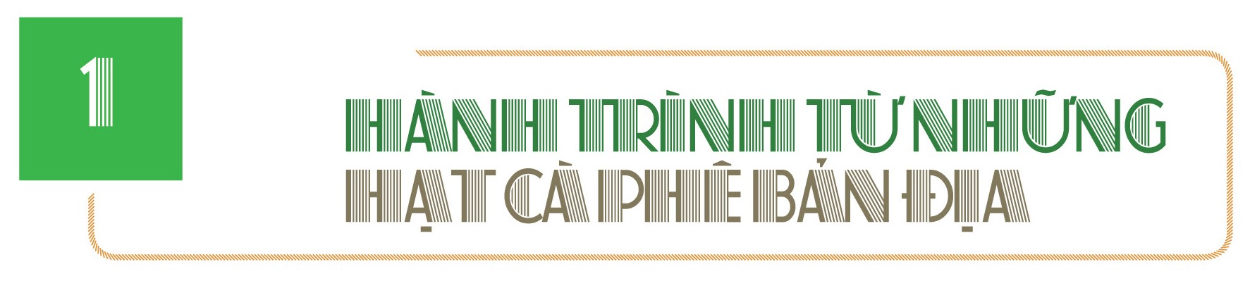 Longform | Cà phê Tây Bắc chạm chuẩn OCOP 4 sao Longform | Cà phê Tây Bắc chạm chuẩn OCOP 4 sao
