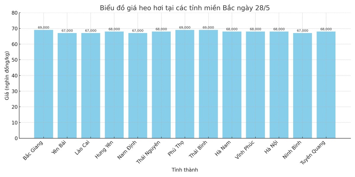 Biểu đồ giá heo hơi tại các tỉnh miền Bắc ngày 28/5. Biểu đồ giá heo hơi tại các tỉnh miền Bắc ngày 28/5.