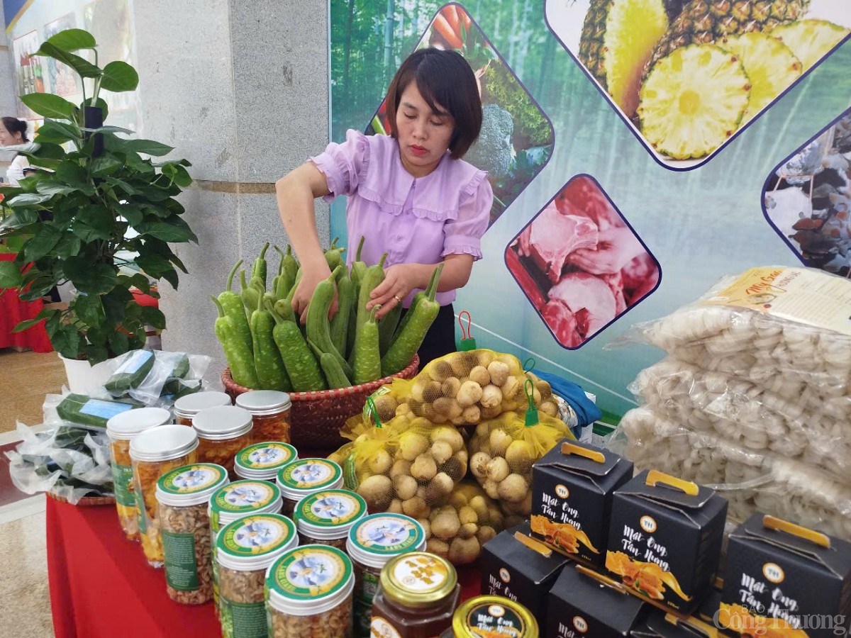 Món ăn đặc sắc được chế biến từ vải thiều Bắc Giang