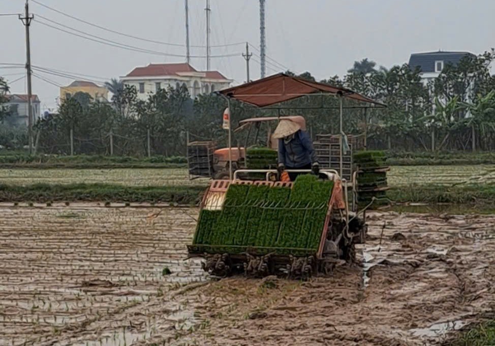 Thái Bình: An Ấp đổi thay từ xây dựng nông thôn mới nâng cao Thái Bình: An Ấp đổi thay từ xây dựng nông thôn mới nâng cao