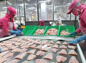 Mở rộng thị trường tạo động lực ngành cá tra tăng trưởng