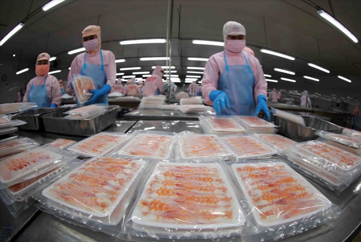 Thực thi CPTPP: Ứng phó phòng vệ, tạo đà xuất khẩu Thực thi CPTPP: Ứng phó phòng vệ, tạo đà xuất khẩu