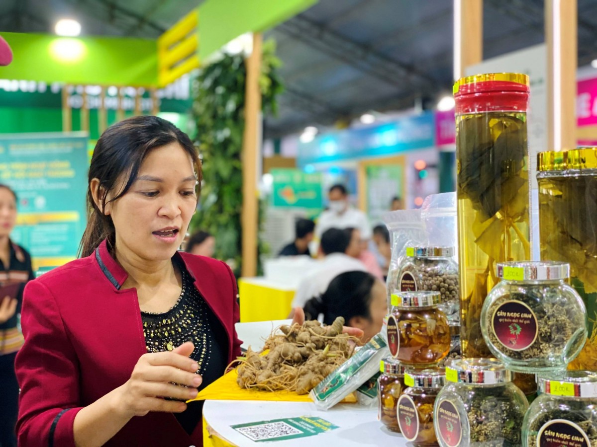 Lĩnh vực dược liệu Việt Nam có tiềm năng phát triển trở thành một ngành kinh tế - Ảnh: Thái Hòa Lĩnh vực dược liệu Việt Nam có tiềm năng phát triển trở thành một ngành kinh tế - Ảnh: Thái Hòa