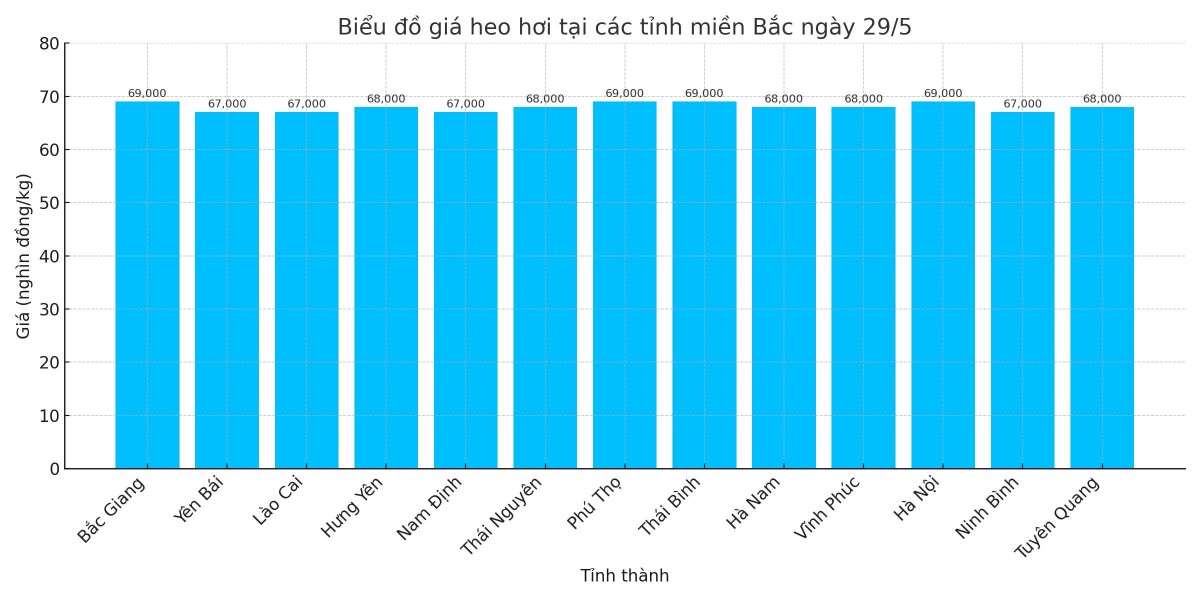 Biểu đồ giá heo hơi tại các tỉnh miền Bắc ngày 28/5. Biểu đồ giá heo hơi tại các tỉnh miền Bắc ngày 28/5.