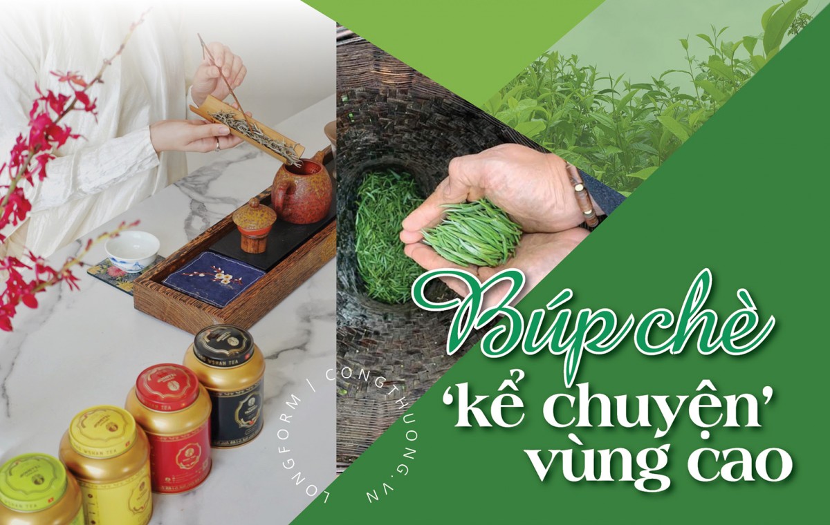 Longform | Búp chè ‘kể chuyện’ vùng cao Longform | Búp chè ‘kể chuyện’ vùng cao