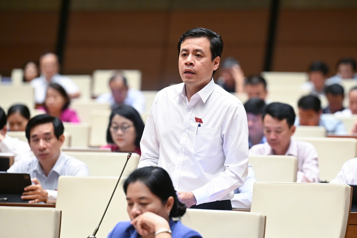 Đại biểu Trần Anh Tuấn (Đoàn TP Hồ Chí Minh) 