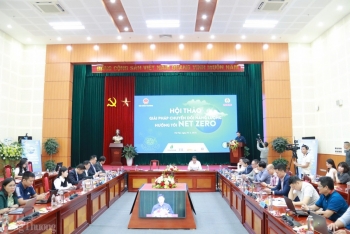 Chuyển đổi năng lượng hướng tới Net Zero: Mệnh lệnh xanh thời đại mới