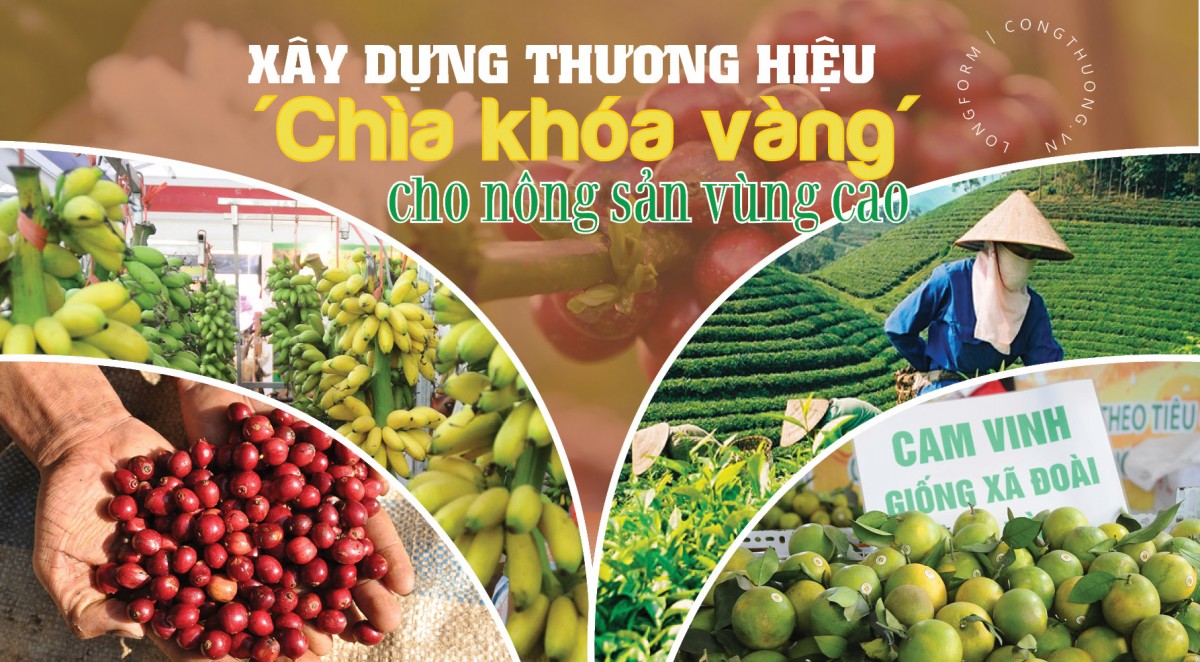 Xây dựng thương hiệu: ‘Chìa khóa vàng’ cho nông sản vùng cao Xây dựng thương hiệu: ‘Chìa khóa vàng’ cho nông sản vùng cao