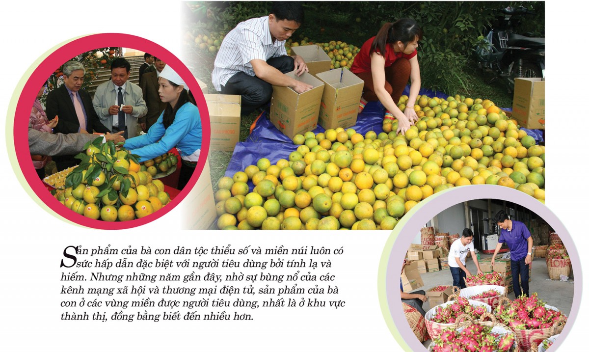 Xây dựng thương hiệu: ‘Chìa khóa vàng’ cho nông sản vùng cao Xây dựng thương hiệu: ‘Chìa khóa vàng’ cho nông sản vùng cao