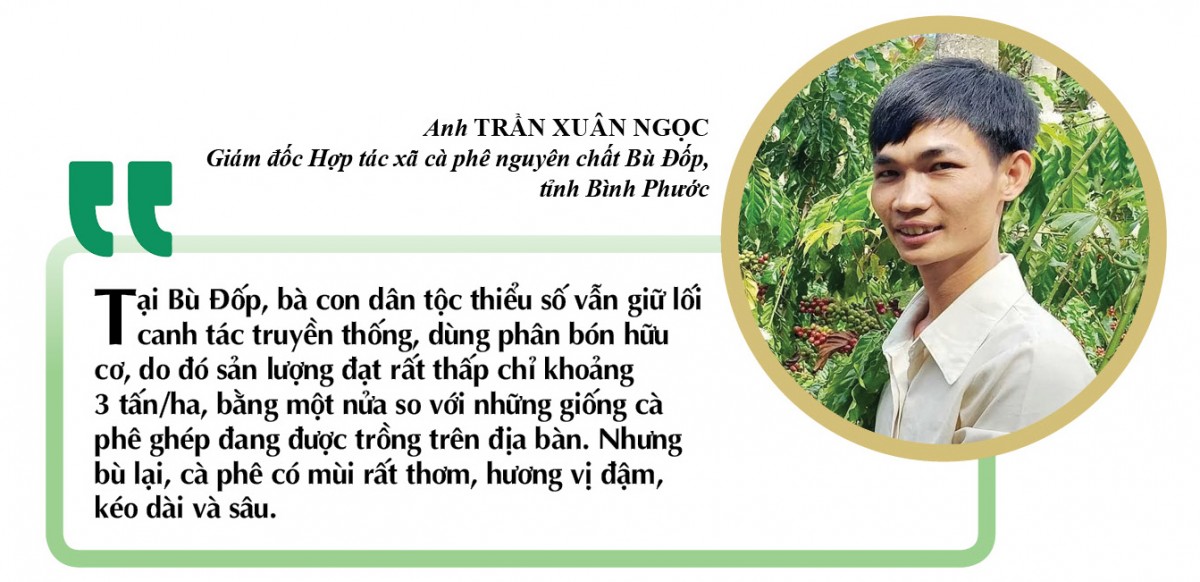 Xây dựng thương hiệu: ‘Chìa khóa vàng’ cho nông sản vùng cao Xây dựng thương hiệu: ‘Chìa khóa vàng’ cho nông sản vùng cao