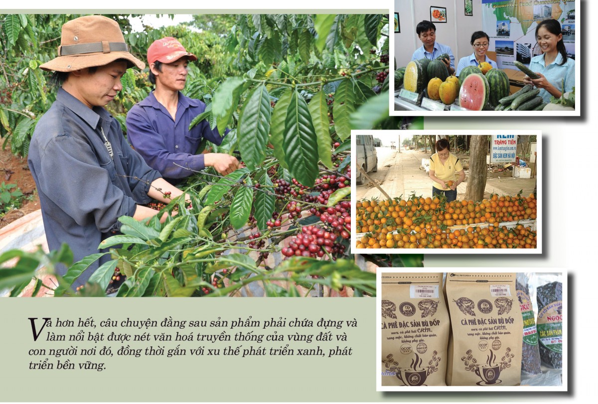 Xây dựng thương hiệu: ‘Chìa khóa vàng’ cho nông sản vùng cao Xây dựng thương hiệu: ‘Chìa khóa vàng’ cho nông sản vùng cao
