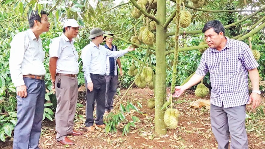 Tin Công Thương 29/5: Tin Công Thương 29/5: