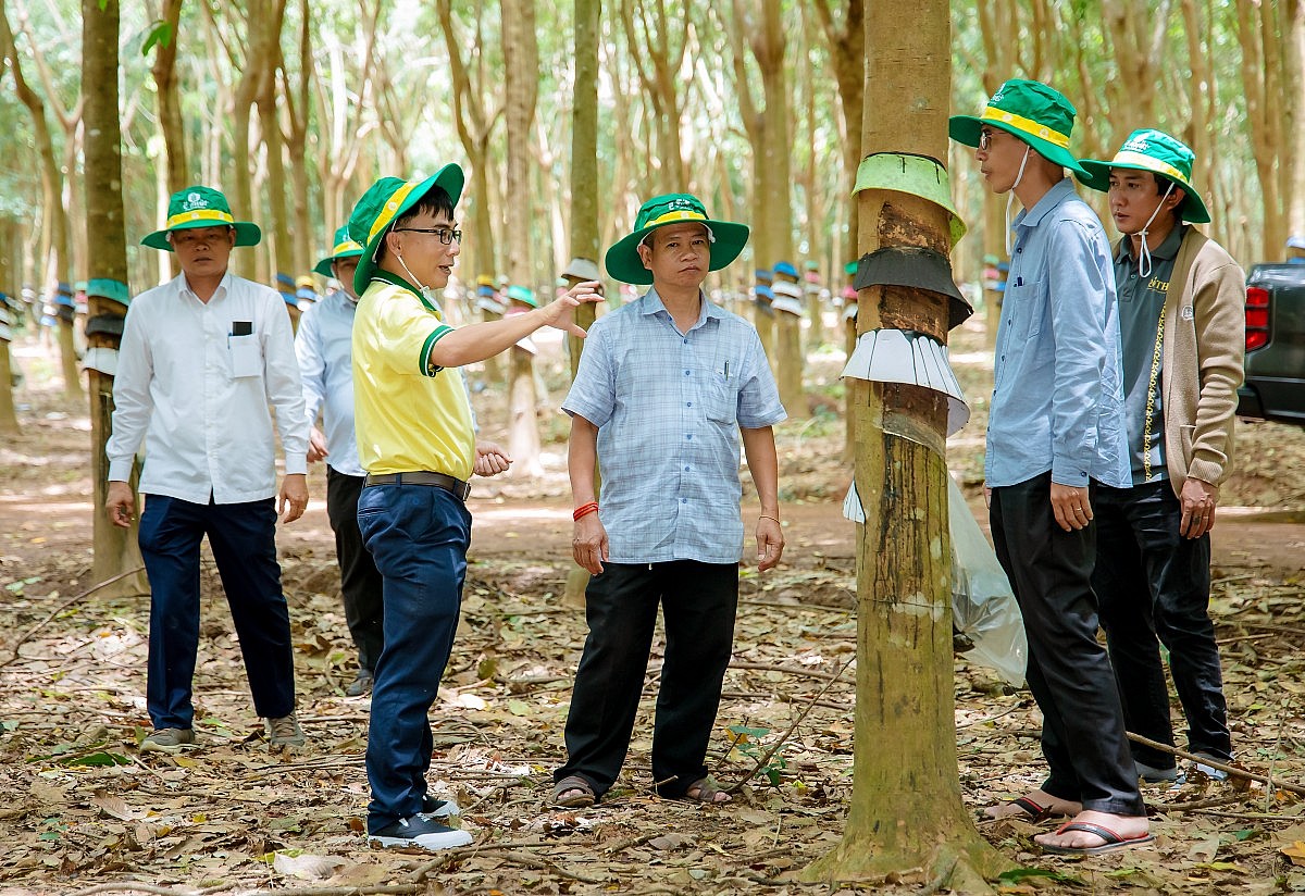 Chuyên gia của PVCFC tư vấn, hướng dẫn bà con Campuchia cách sử dụng sản phẩm hiệu quả (Ảnh PVCFC)