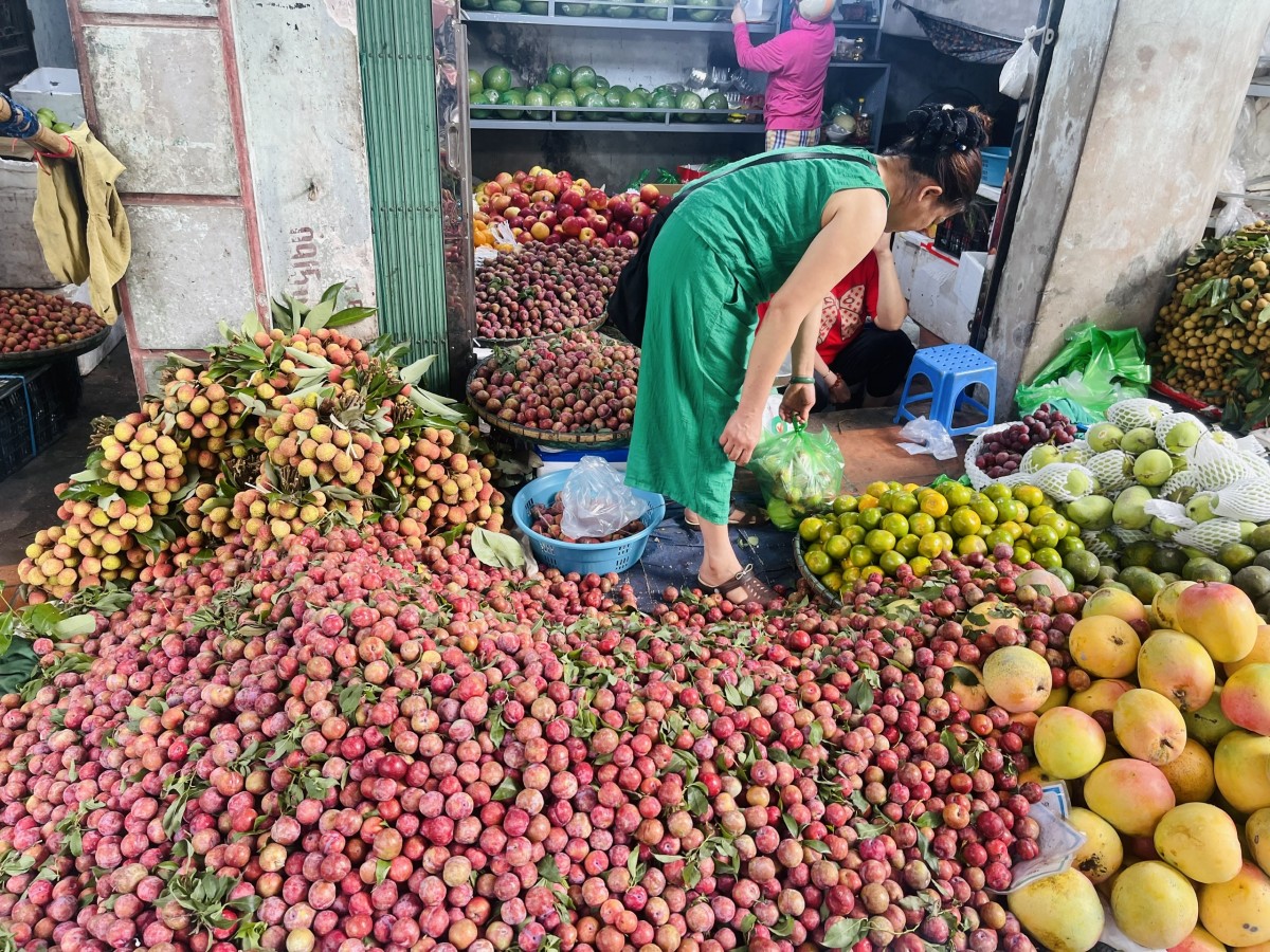 Các loại trái cây mùa hè đặc trưng như vải, mận không thể thiếu trong mâm lễ Tết Đoan Ngọ. Ảnh: Nguyễn Thanh Các loại trái cây mùa hè đặc trưng như vải, mận không thể thiếu trong mâm lễ Tết Đoan Ngọ. Ảnh: Nguyễn Thanh