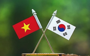 Khai mở cơ hội mới cho hợp tác thương mại Việt - Hàn