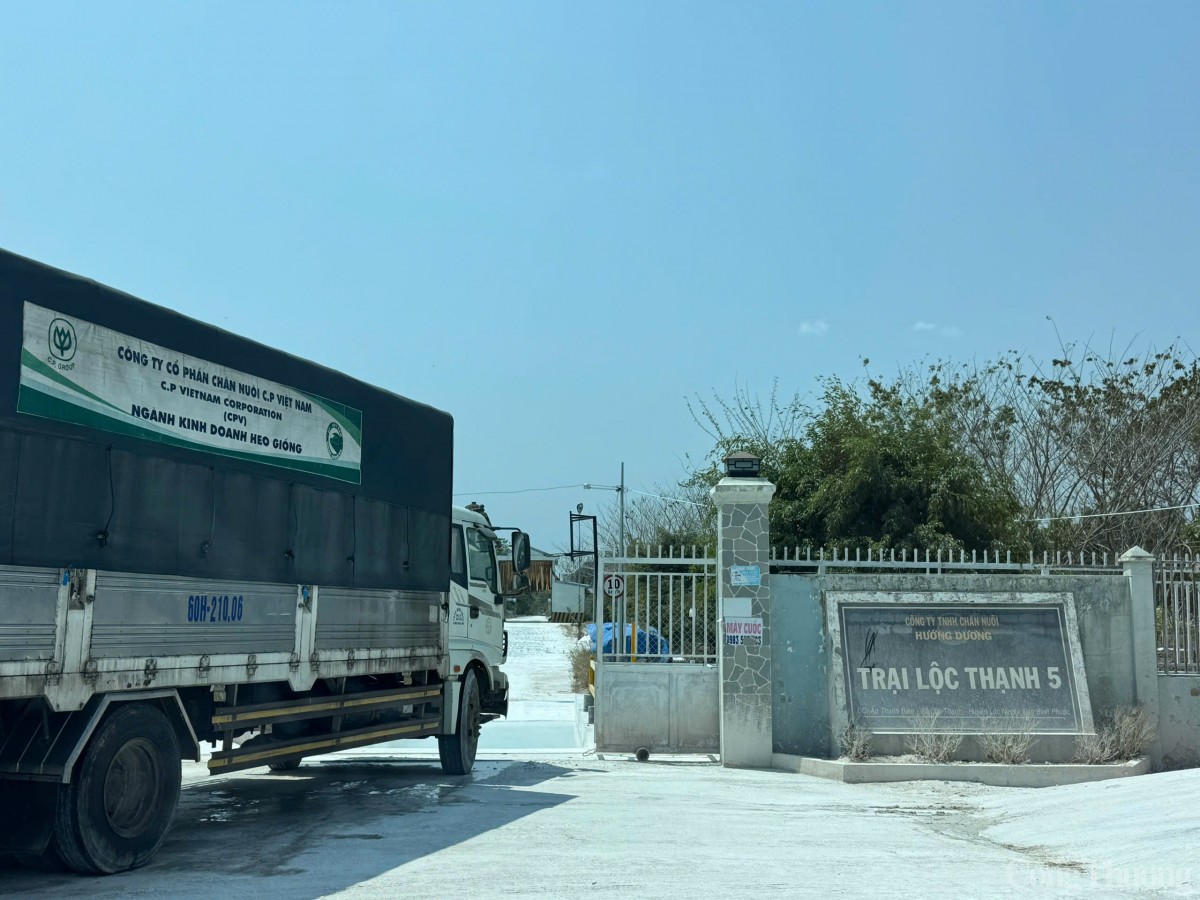 Công ty CP Việt Nam lên tiếng về việc bị 'tố' bán Công ty CP Việt Nam lên tiếng về việc bị 'tố' bán