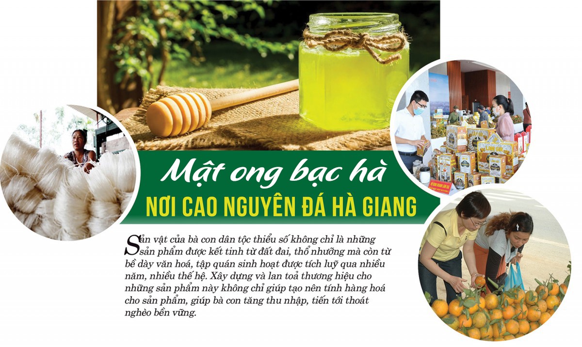 Xây dựng thương hiệu: ‘Chìa khóa vàng’ cho nông sản vùng cao Xây dựng thương hiệu: ‘Chìa khóa vàng’ cho nông sản vùng cao