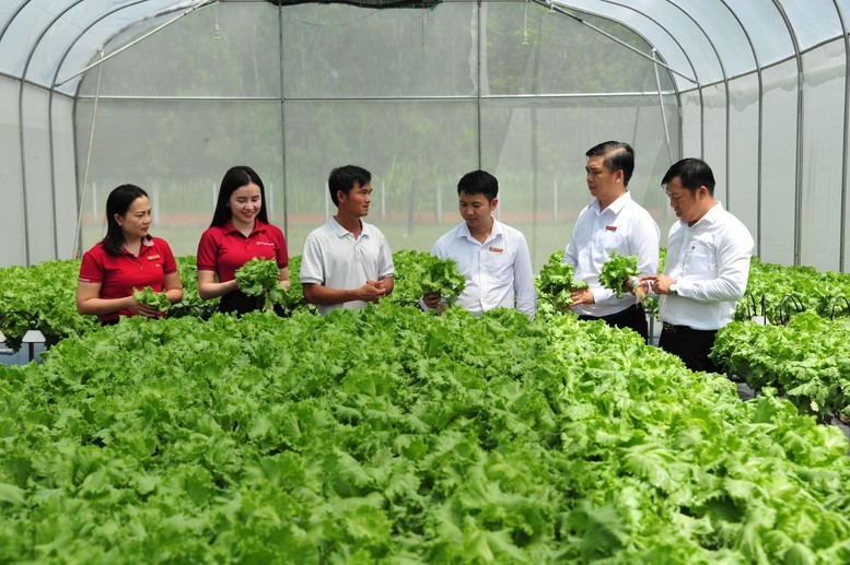 Agribank mở rộng phạm vi cấp vốn và nâng quy mô triển khai chương trình tín dụng ưu đãi lĩnh vực nông, lâm, thủy sản