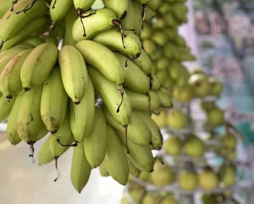 Chuối ngự Hồng Cam