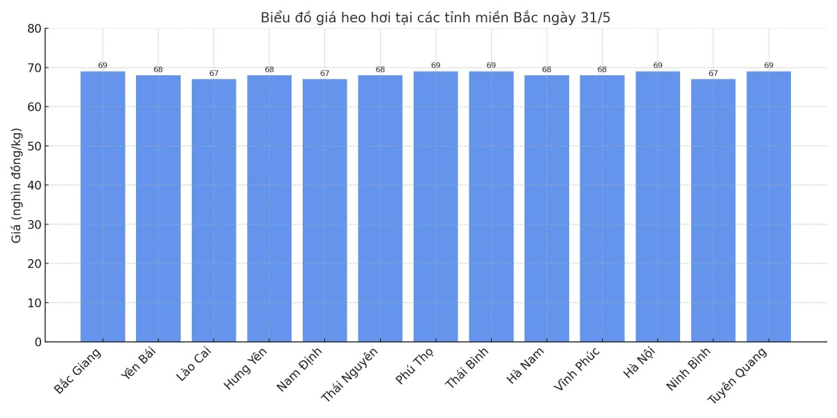 Biểu đồ giá heo hơi tại các tỉnh miền Bắc ngày 31/5.