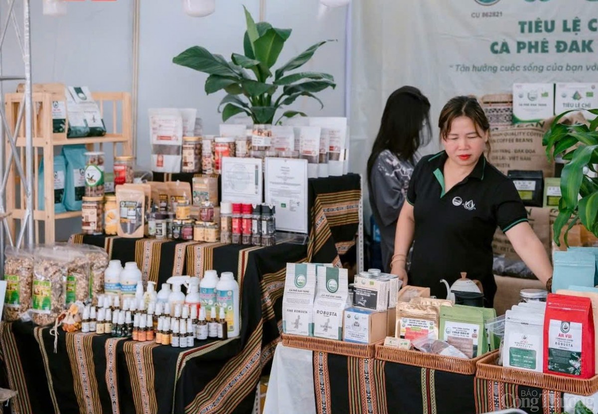 xúc tiến xuất khẩu