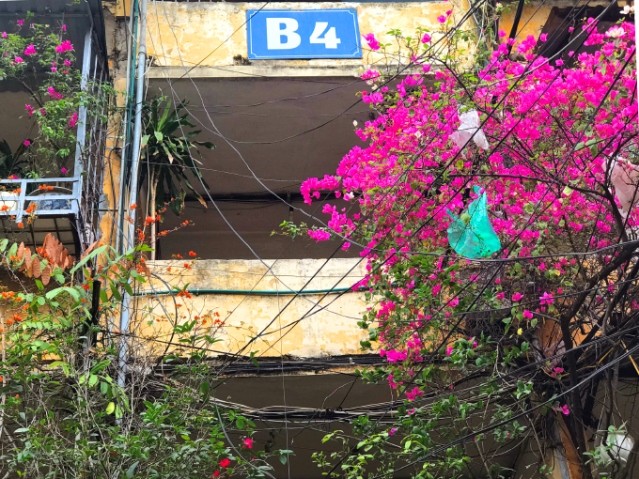 Hà Nội: Tập thể 50 triệu/m2, hóa ra giá 186 triệu/m2 Hà Nội: Tập thể 50 triệu/m2, hóa ra giá 186 triệu/m2