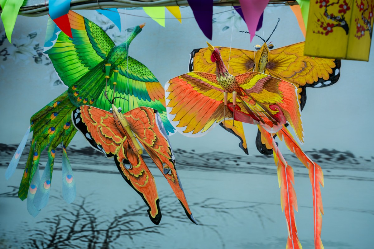 Độc đáo điểm check-in cùng trâu, gà, lợn giữa lòng Hà Nội