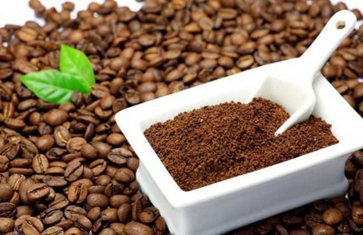 Cà phê Arabica và chế biến bứt tốc dẫn dắt xuất khẩu