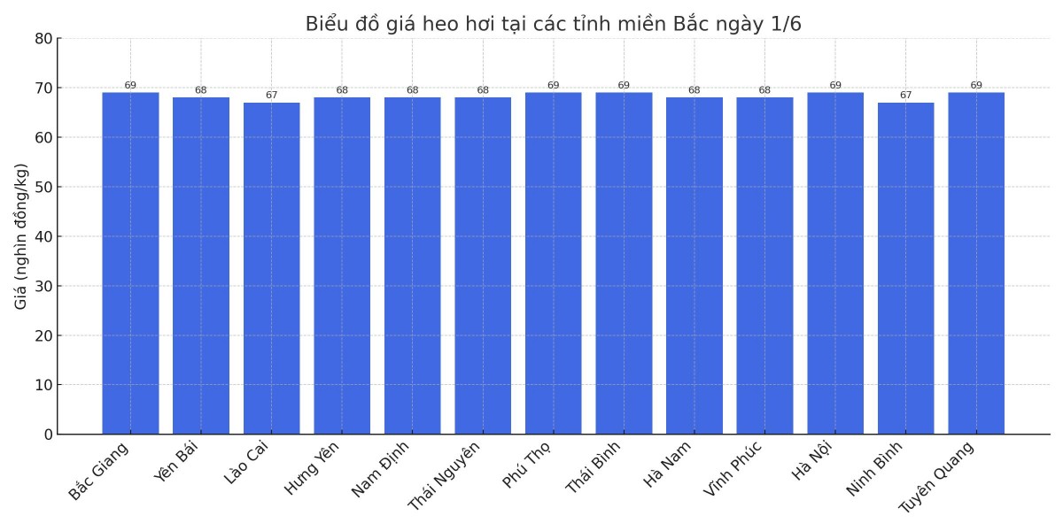 Biểu đồ giá heo hơi tại các tỉnh miền Bắc ngày 1/6.