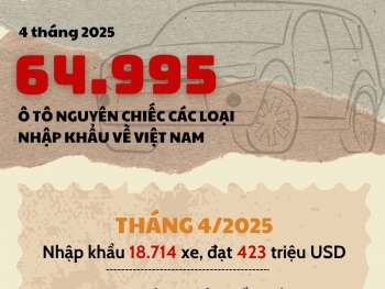 Gần 65.000 ô tô nguyên chiếc các loại được nhập khẩu trong 4 tháng