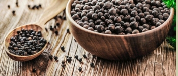 4 tháng năm 2025, xuất khẩu hồ tiêu đạt 508,36 triệu USD