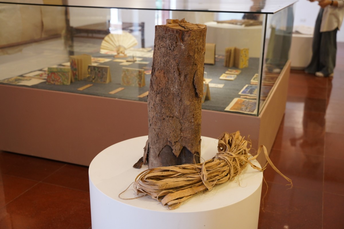 Bảo tàng giấy gió: Nơi di sản kể chuyện bằng tay