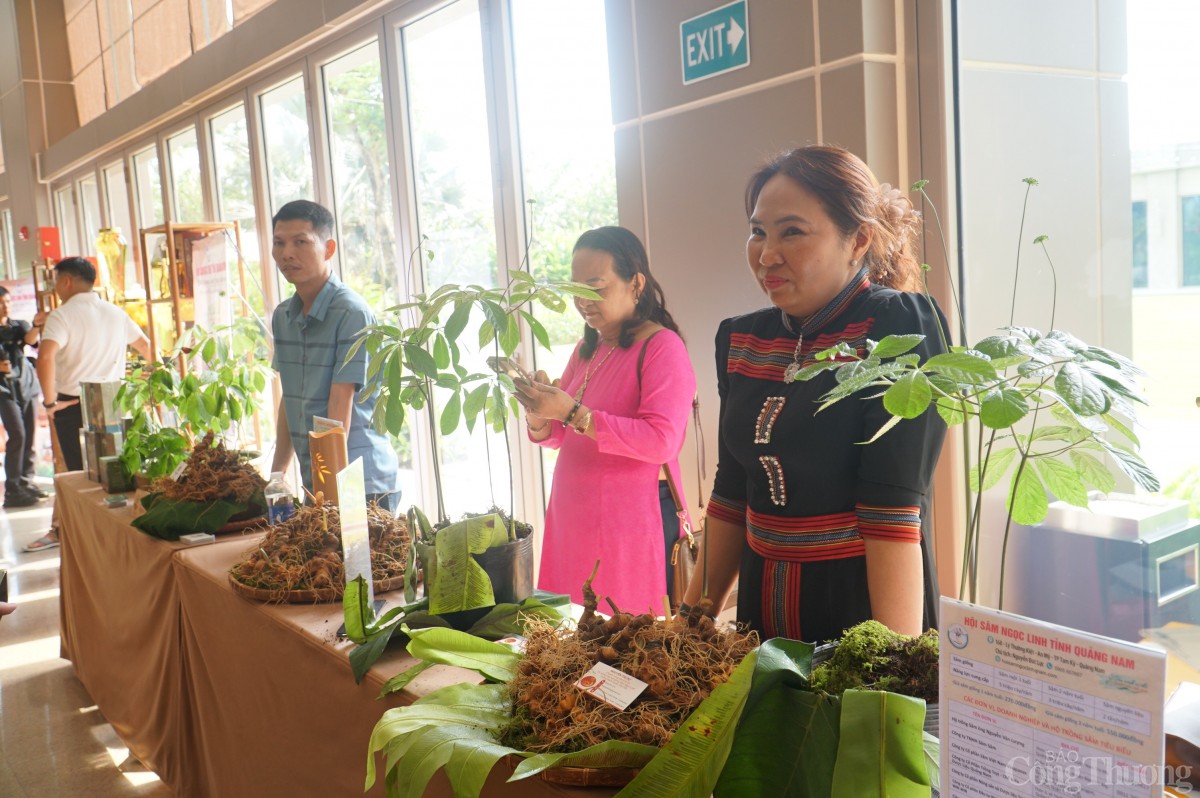 Phát triển công nghiệp dược liệu miền Trung, Tây Nguyên: Quyết định