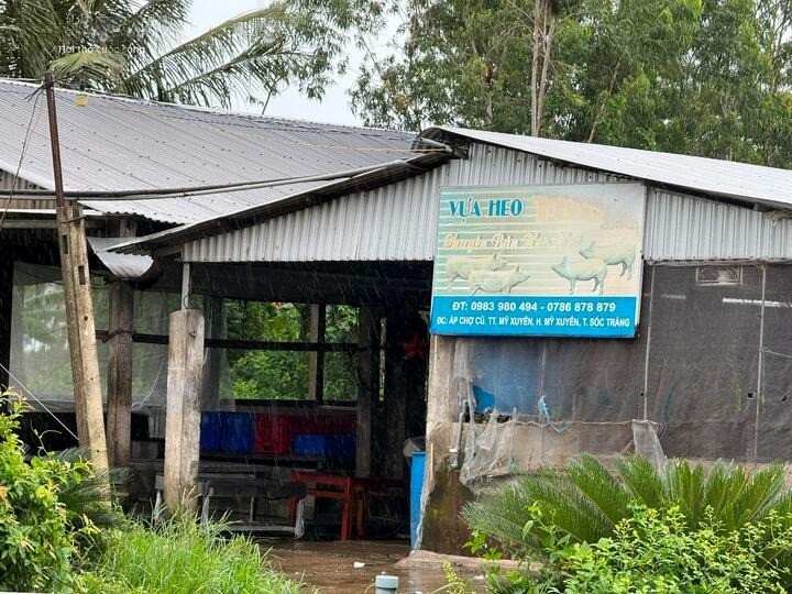 Vụ C.P bị tố bán thịt heo bẩn: Sở Nông nghiệp và Vụ C.P bị tố bán thịt heo bẩn: Sở Nông nghiệp và Môi trường Sóc Trăng chính thức lên tiếng