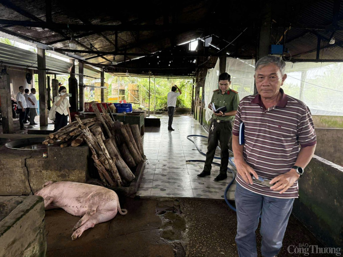 Sóc Trăng: Đang kiểm tra lò mổ giết heo gia công cho