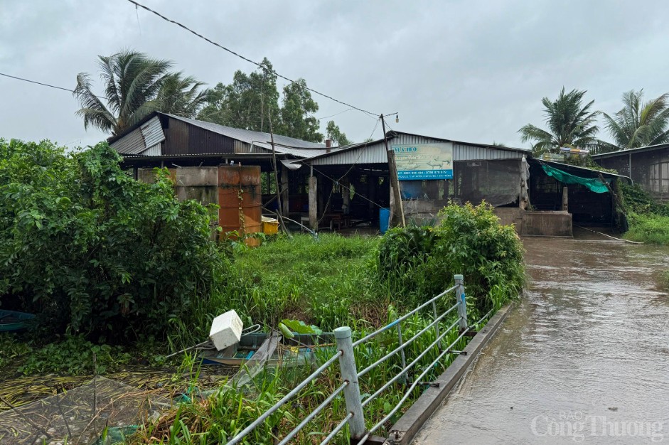 Sóc Trăng: Đang kiểm tra lò mổ giết heo gia công cho