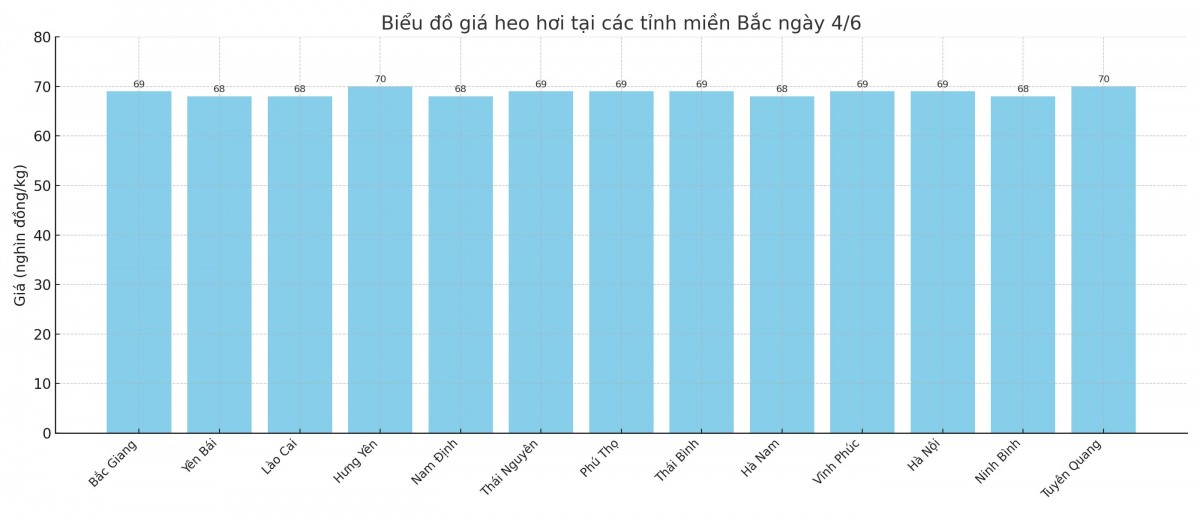 Biểu đồ giá heo hơi tại các tỉnh miền Bắc ngày 4/6. Biểu đồ giá heo hơi tại các tỉnh miền Bắc ngày 4/6.