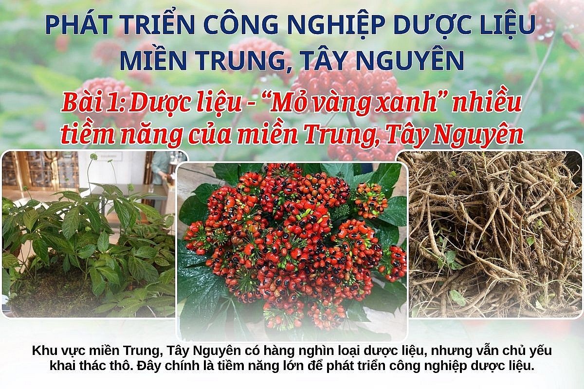 Bài 1: Phát triển công nghiệp dược liệu miền Trung Tây Nguyên Bài 1: Phát triển công nghiệp dược liệu miền Trung Tây Nguyên