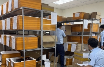 Kinh doanh hơn 4.000 pin điện thoại nhập lậu, Tiger Display Global bị phạt nặng