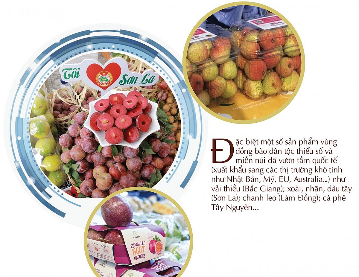 Longform | 5 năm triển khai Quyết định 1719: Ngành Công Thương và hành trình “thắp lửa” vùng cao: Bài 1 Longform | 5 năm triển khai Quyết định 1719: Ngành Công Thương và hành trình “thắp lửa” vùng cao: Bài 1