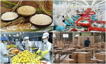 Tin Công Thương 4/6: Nông, lâm, thủy sản xuất khẩu đạt 28 tỷ USD sau 5 tháng