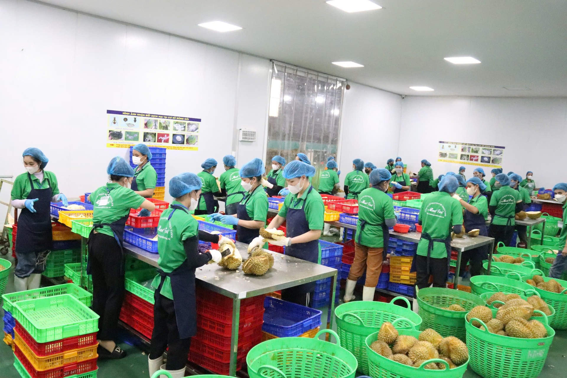 Doanh nghiệp ghi nhận các chính sách hỗ trợ tận dụng FTA - 1