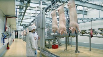 Thịt có thương hiệu: Xu hướng mới trong tiêu dùng hiện nay