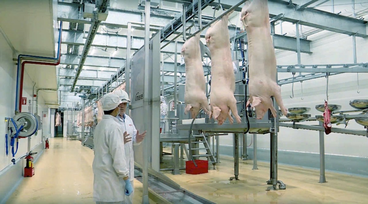 Dây chuyền sản xuất thịt ủ mát chuẩn Âu hiện đại