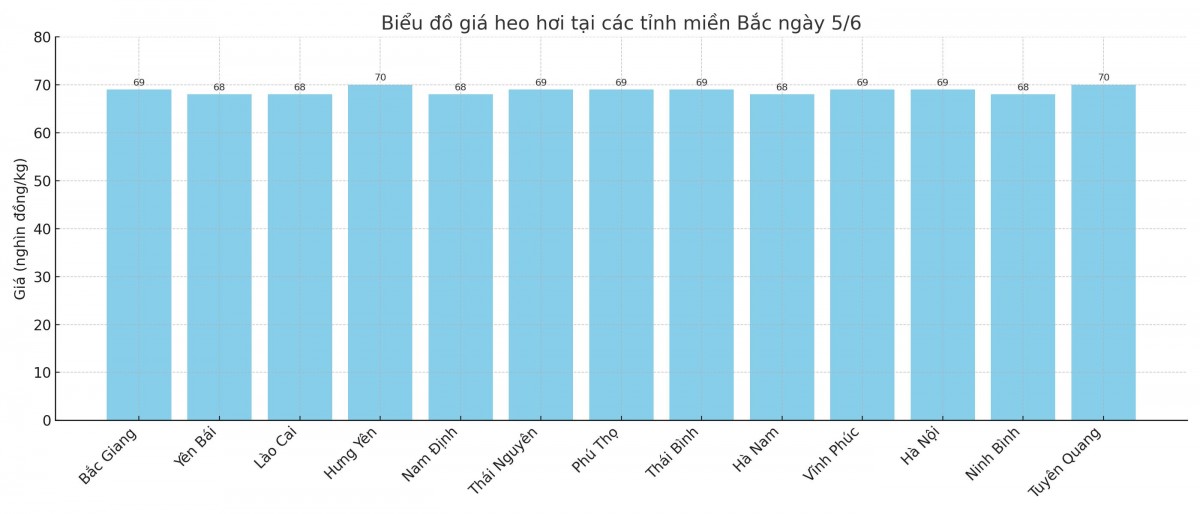 Biểu đồ giá heo hơi tại các tỉnh miền Bắc ngày 5/6. Biểu đồ giá heo hơi tại các tỉnh miền Bắc ngày 5/6.