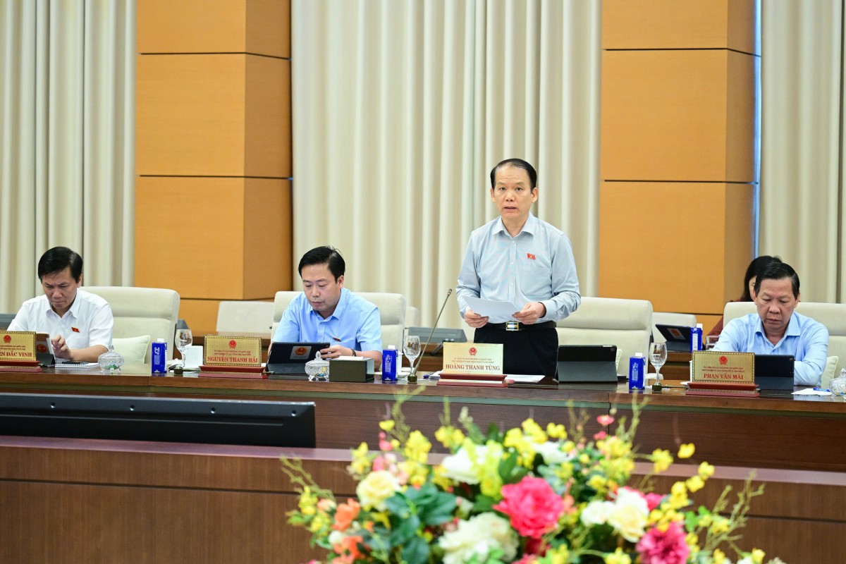 Chủ nhiệm Ủy ban Pháp luật và Tư pháp Hoàng Thanh Tùng Chủ nhiệm Ủy ban Pháp luật và Tư pháp Hoàng Thanh Tùng